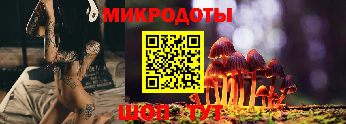 Людиново  Галлюциногенные грибы Psilocybe  Вход с VPN 
